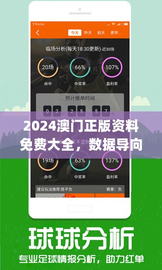 2024新澳门正版免费资料车|精选解释解析落实