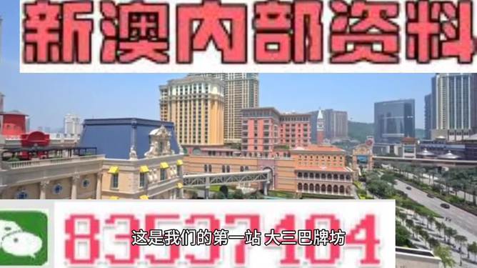 2024澳门资料免费网站大全正版2024|精选解释解析落实